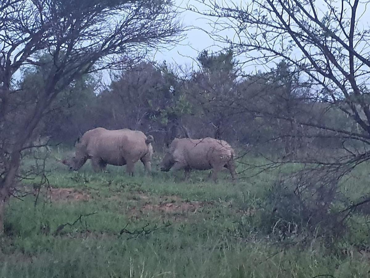 636 Itaga Safari Lodge, Mabalingwe Nature Reserve Mabula Game Reserve Exterior photo