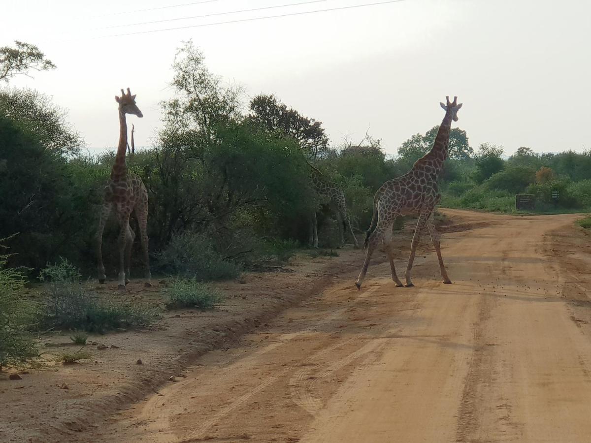 636 Itaga Safari Lodge, Mabalingwe Nature Reserve Mabula Game Reserve Exterior photo
